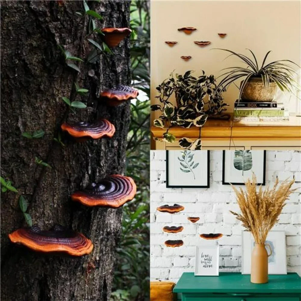 Set of 5 Mushroom Wall Shelves Small Floating Resin Shelves for Home Decor